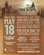 True North Horse Sale.jpg