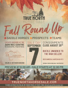 True North Horse Sale.jpg