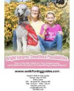 Walk for Dog Guides in Dauphin.jpg