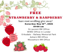 West Interlake Watershed district Seedling giveaway.jpg