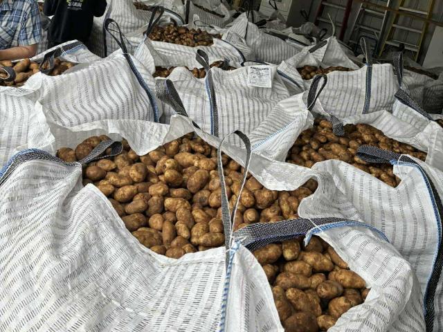 potato2
