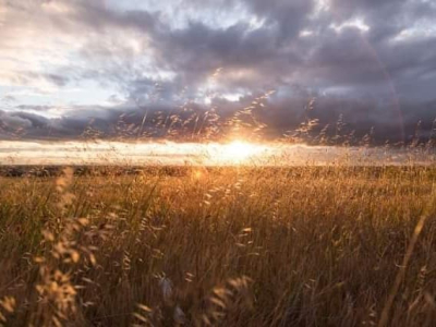 Busy year for Farmer Wellness Program
