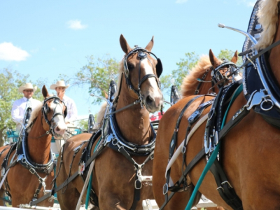 Dauphin Fair ready to roll