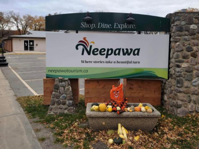 Meet the Neepawa by-election candidates 